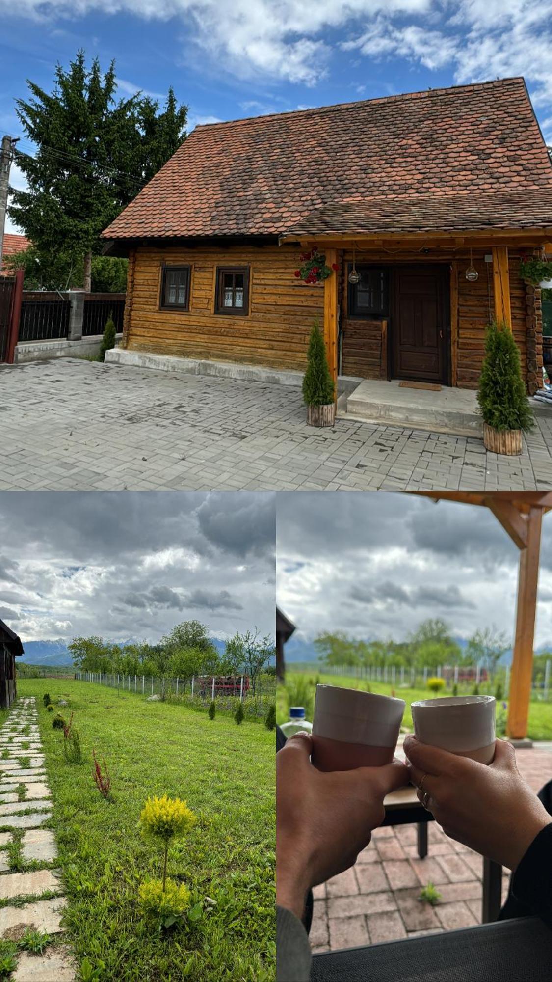Вілла Casuta Cu Tihna Порумбаку-де-Жос Екстер'єр фото